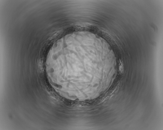 X0000111170819200907221026