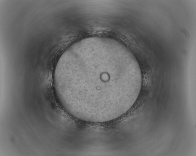 X0000111170820200907221026