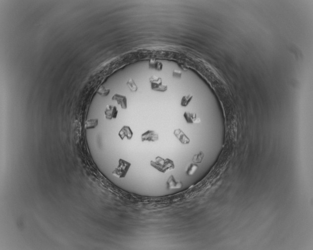 X0000111170821200907221026