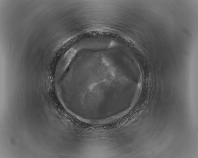 X0000111170822200907221026