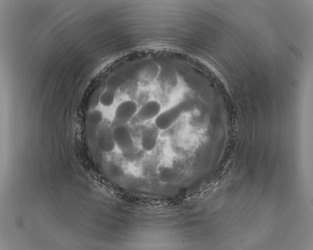 X0000111170823200907221026