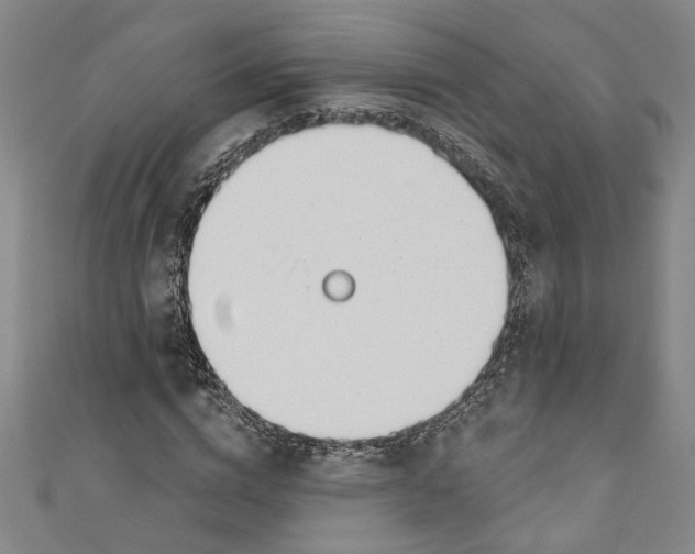 X0000111170824200907221026