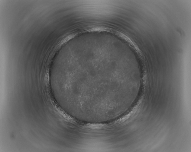 X0000111170825200907221026