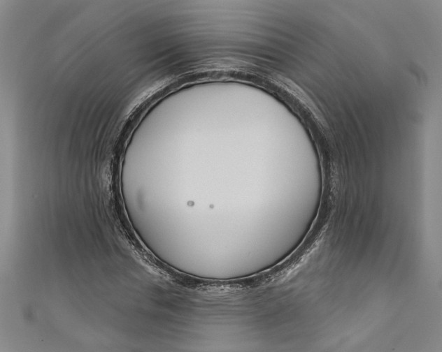 X0000111170826200907221026