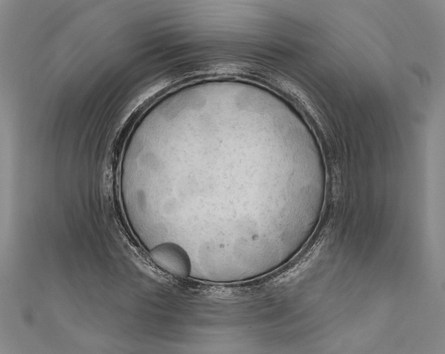 X0000111170827200907221026