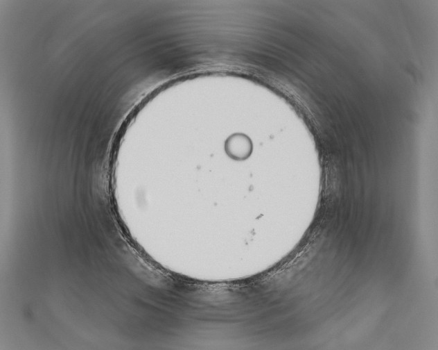 X0000111170828200907221026