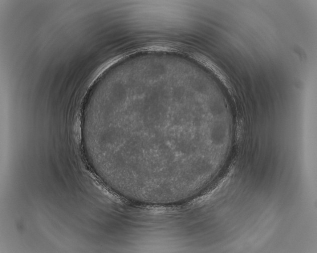 X0000111170829200907221026