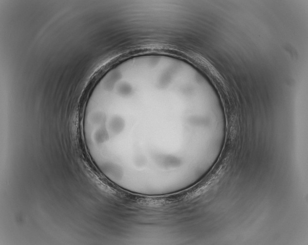 X0000111170831200907221026