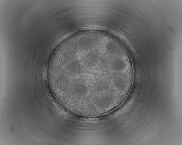 X0000111170833200907221026