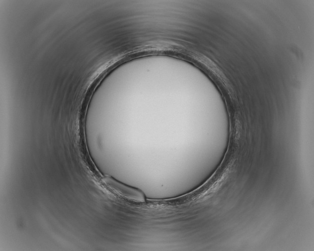 X0000111170834200907221026