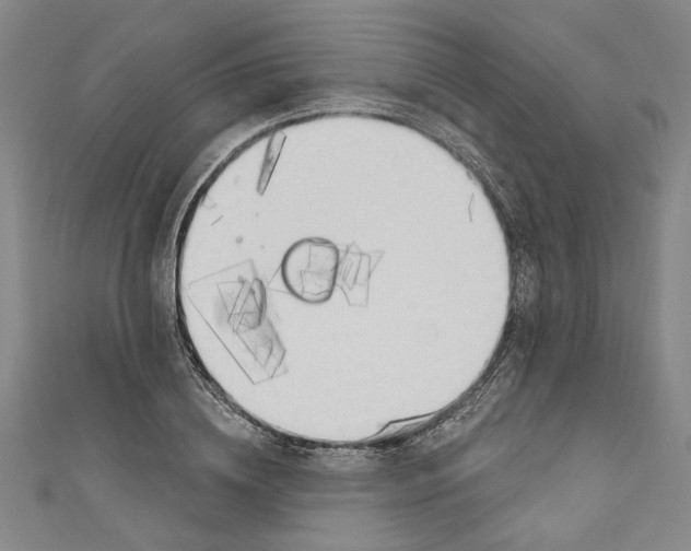 X0000111170836200907221026