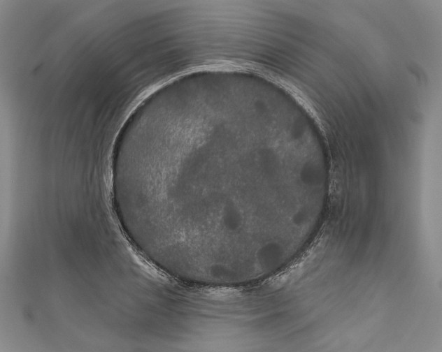 X0000111170837200907221026