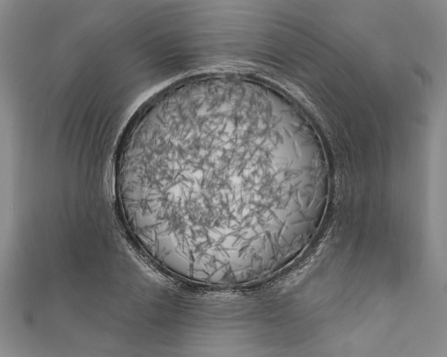 X0000111170838200907221026