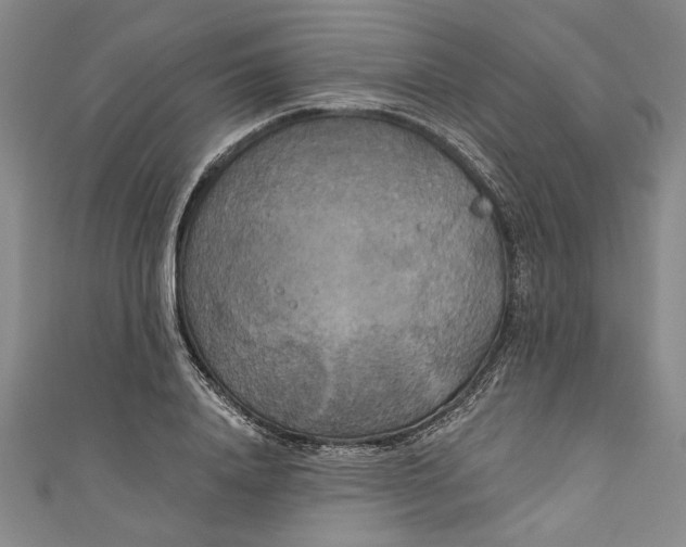 X0000111170840200907221026