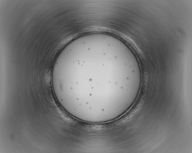 X0000111170841200907221026