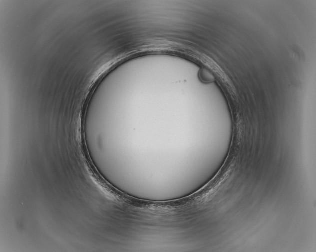 X0000111170842200907221026