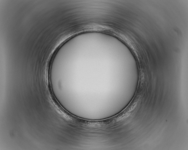 X0000111170843200907221026