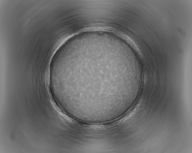 X0000111170844200907221026