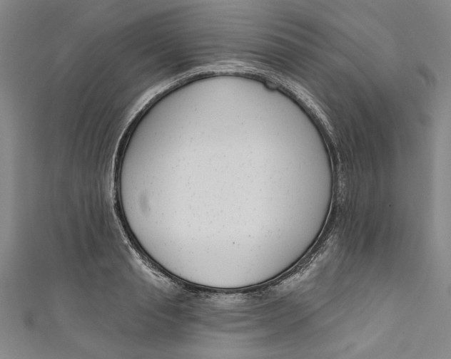 X0000111170845200907221026