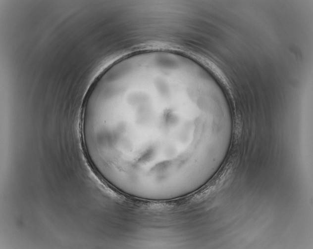 X0000111170847200907221026