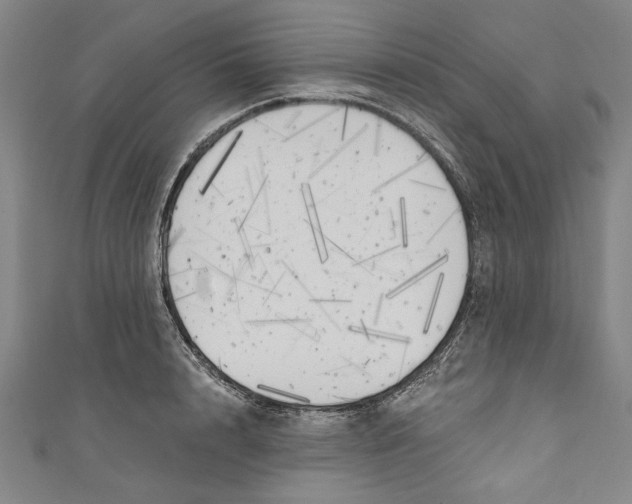 X0000111170848200907221026