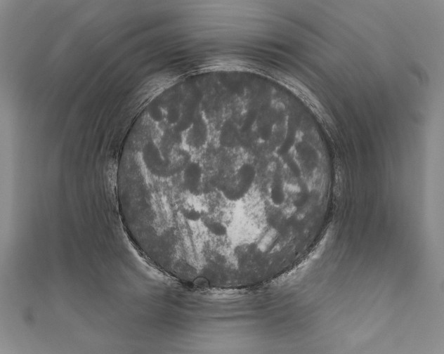 X0000111170849200907221026