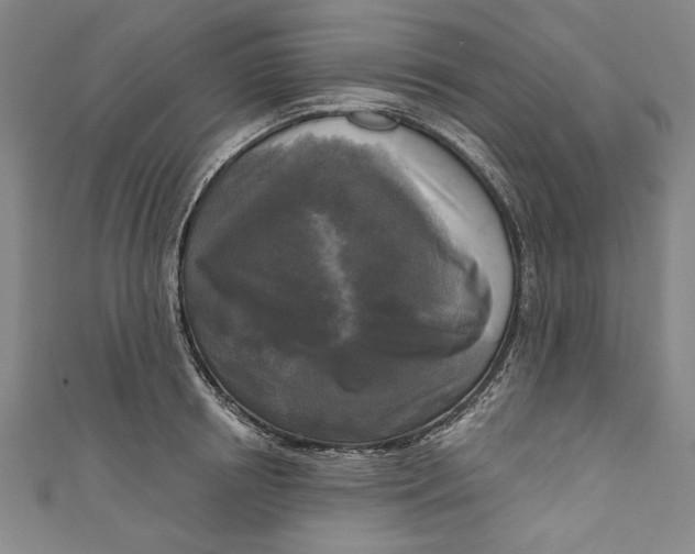 X0000111170850200907221026