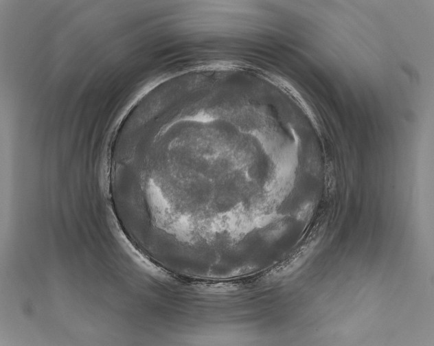 X0000111170851200907221026