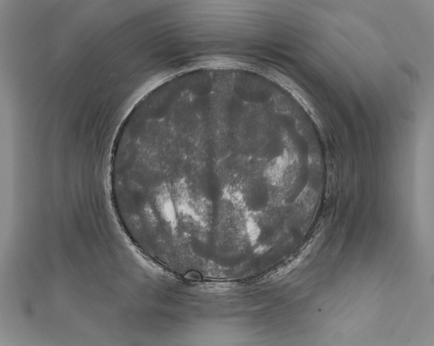 X0000111170853200907221026