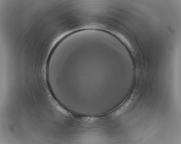 X0000111170854200907221026