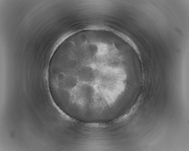 X0000111170855200907221026