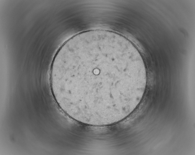 X0000111170856200907221026