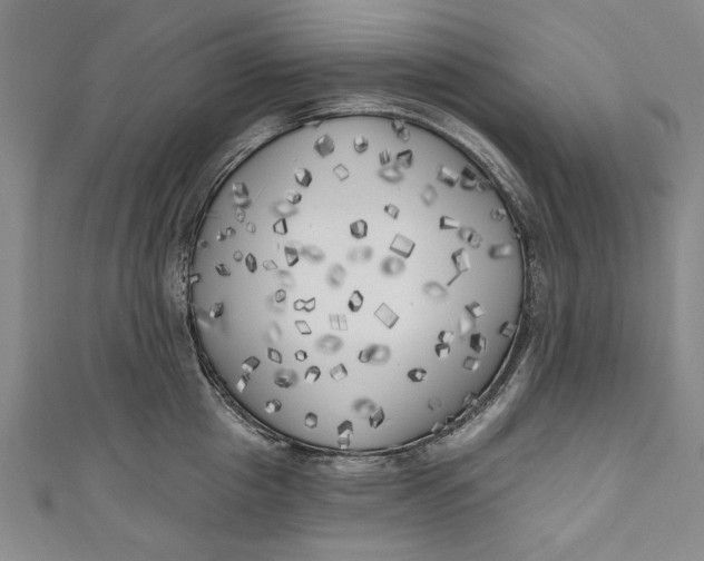 X0000111170857200907221026