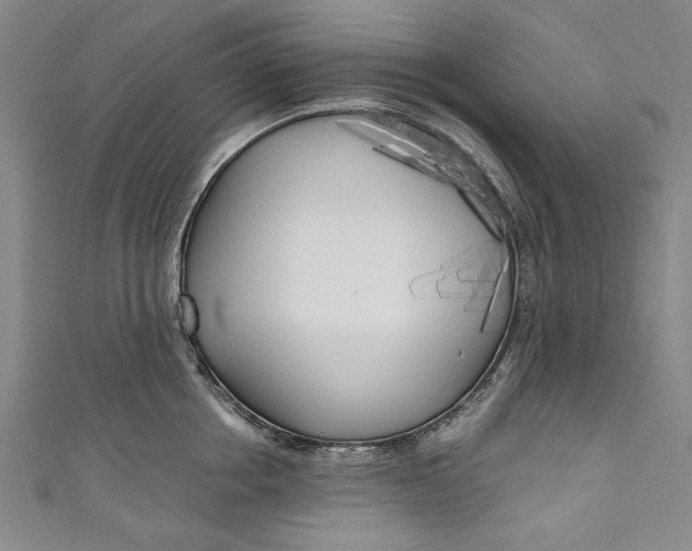 X0000111170858200907221026