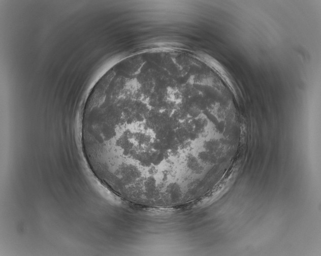 X0000111170859200907221026