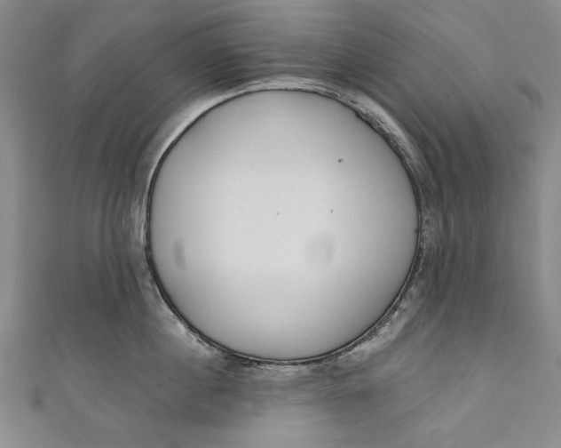 X0000111170860200907221026