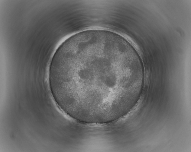 X0000111170862200907221026