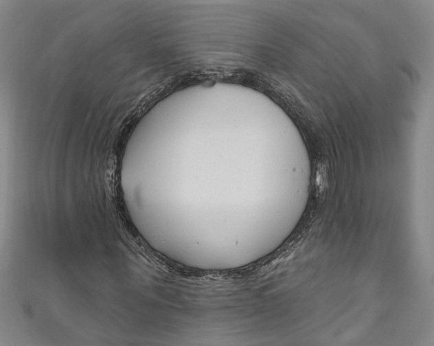 X0000111170867200907221026