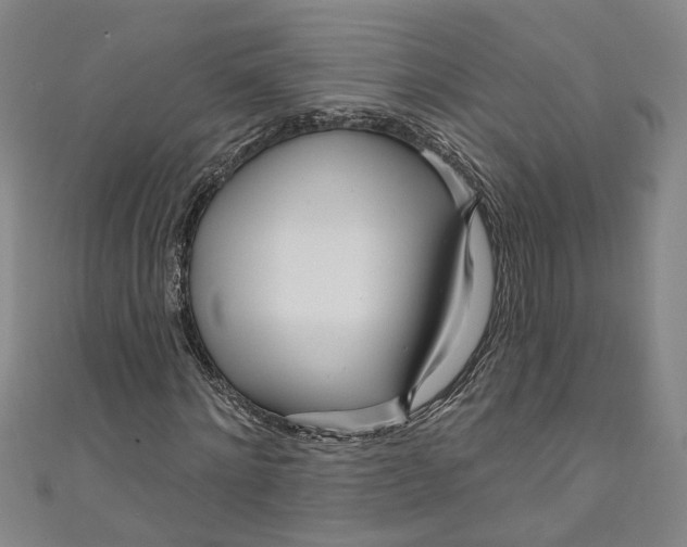 X0000111170868200907221026