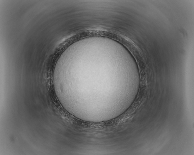 X0000111170870200907221026