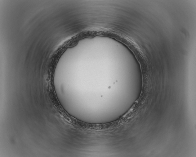 X0000111170872200907221026