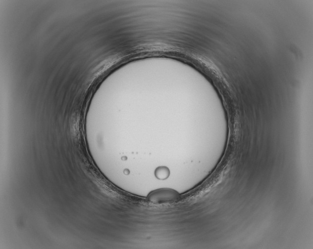 X0000111170873200907221026