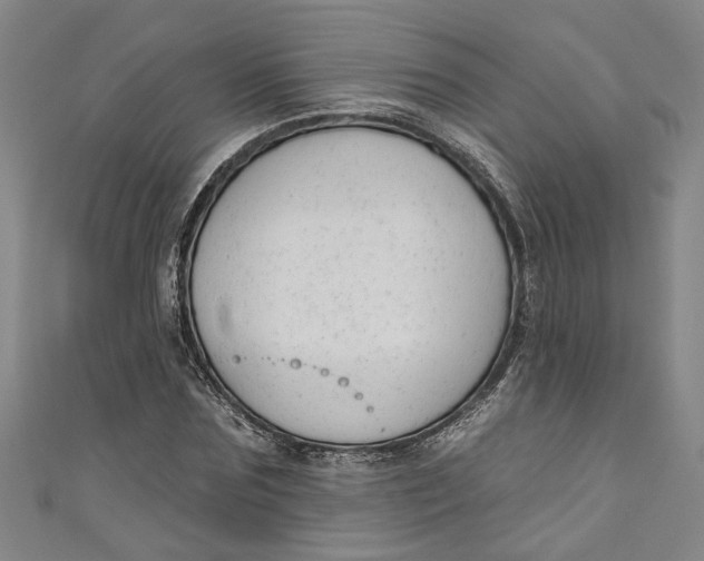 X0000111170875200907221026