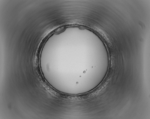 X0000111170876200907221026