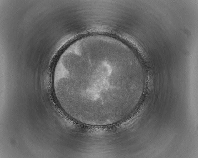 X0000111170878200907221026