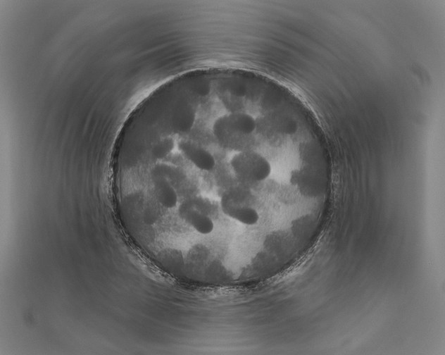 X0000111170879200907221026