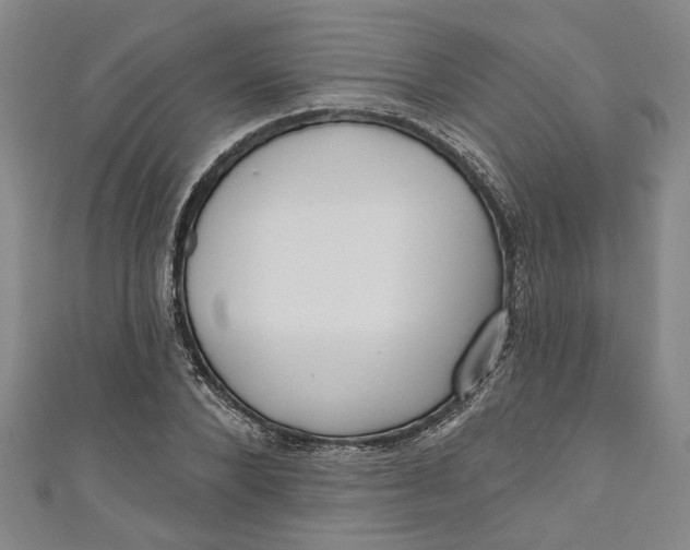 X0000111170880200907221026