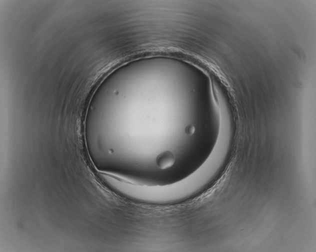 X0000111170881200907221026