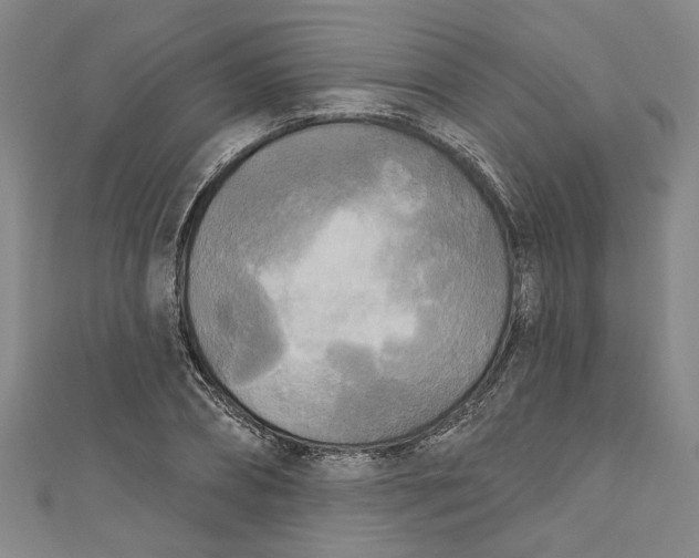 X0000111170882200907221026