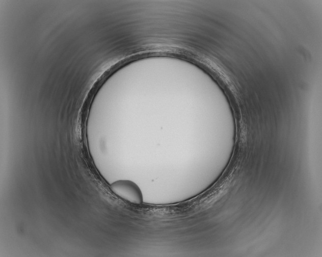 X0000111170883200907221026